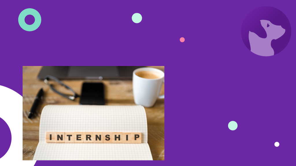 blog header internship
